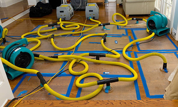 Professional Water Extraction technician working in Calverton, NY
